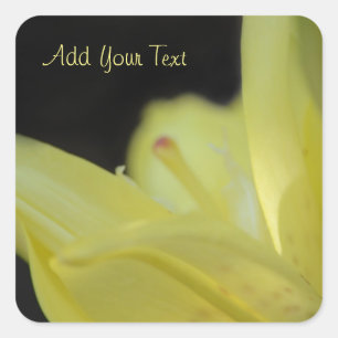Yellow Lily by Shirley Taylor Square Sticker