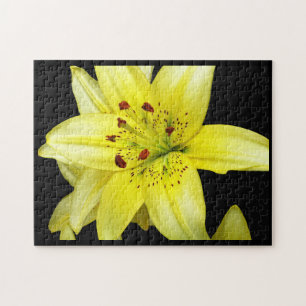 Yellow Lily Close-up Jigsaw Puzzle