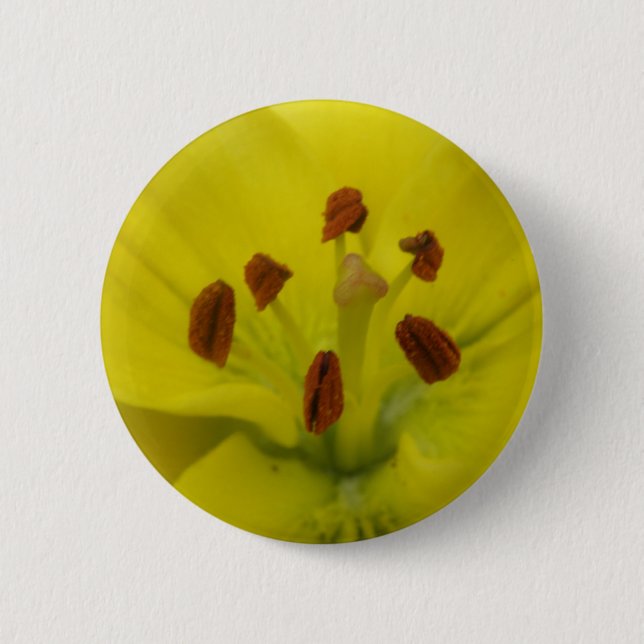 Yellow Lily Floral Button (Front)