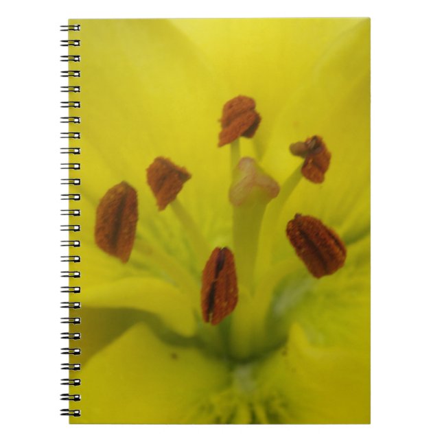 Yellow Lily Floral Notebook (Front)
