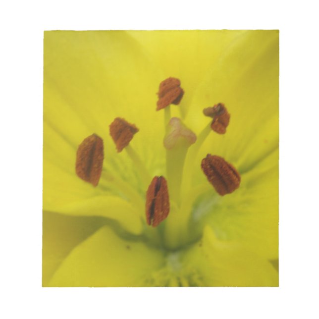 Yellow Lily Floral Notepad (Front)