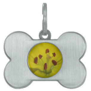 Yellow Lily Floral Pet Tag