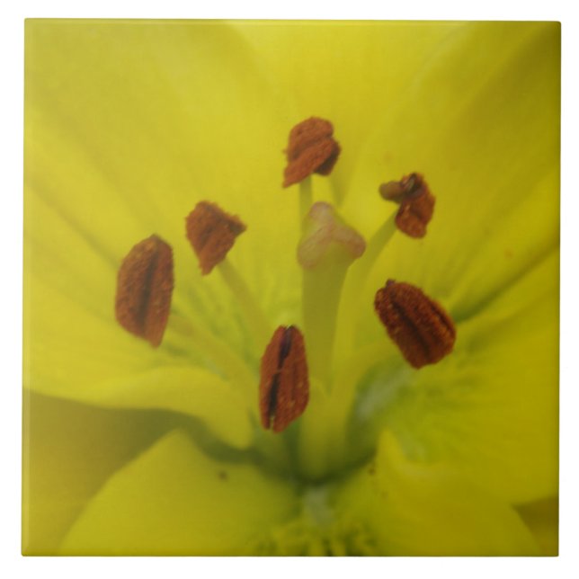 Yellow Lily Floral Tile (Front)