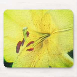 Yellow Lily Flower Pencil Art Mouse Mat