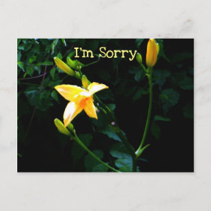 Yellow Lily Flower Postcard