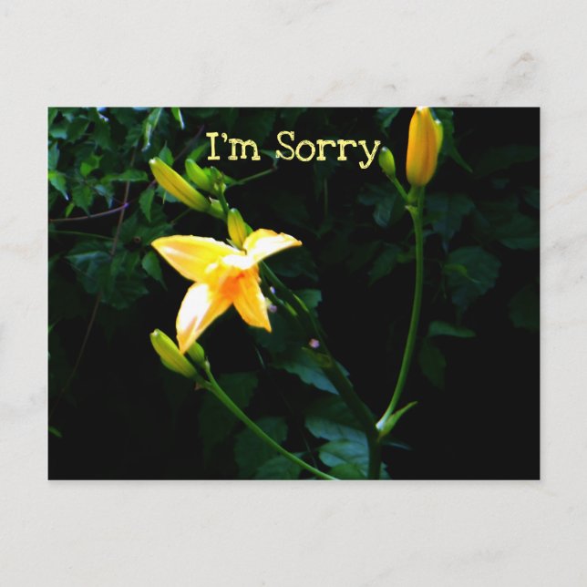 Yellow Lily Flower Postcard (Front)