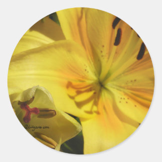 Yellow Lily Invitation Envelope Seal