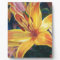 Yellow Lily