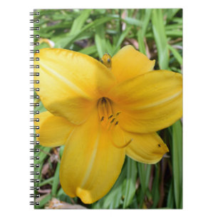 Yellow lily up close notebook