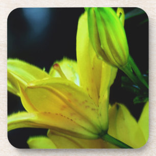 Yellow Lily with Wind Effect by Shirley Taylor Coaster