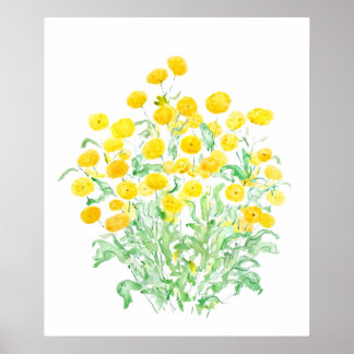 yellow little florist daisy bunches watercolor poster