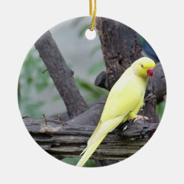 Yellow Lutino Ring Necked Parakeet in a tree Ceramic Tree Decoration (Front)