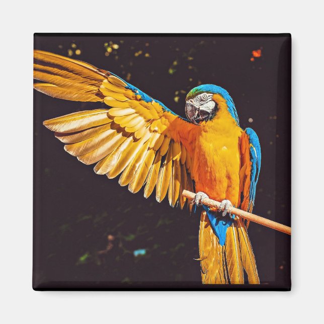 Yellow Macaw Parrot Magnet (Front)