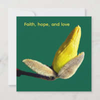 Yellow Magnolia Bud