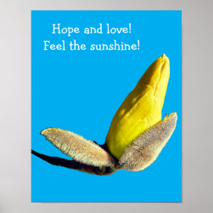 Yellow Magnolia Bud Poster