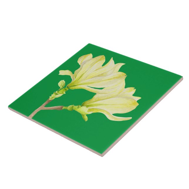 Yellow Magnolias on a Ceramic Tile (1G) (Side)