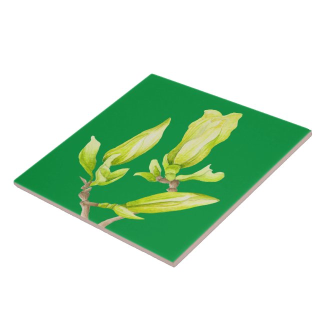 Yellow Magnolias on a Ceramic Tile (2G) (Side)