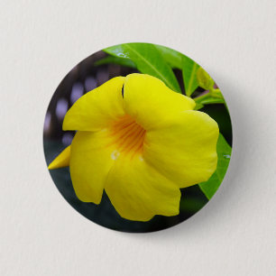 Yellow Mandevilla 6 Cm Round Badge
