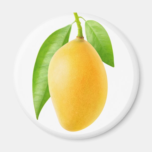 Yellow mango magnet (Front)