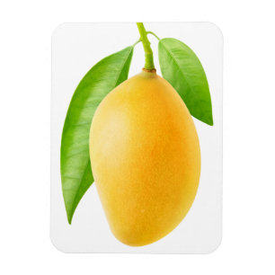 Yellow mango magnet