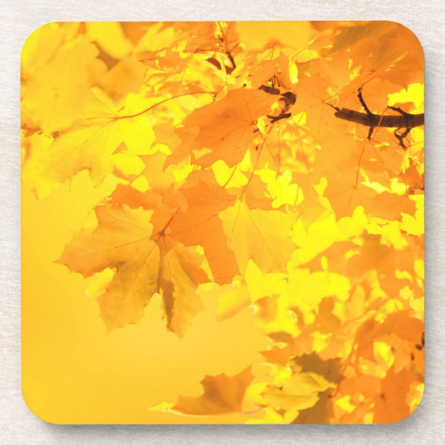 Yellow Maple Cork Coaster (Front)