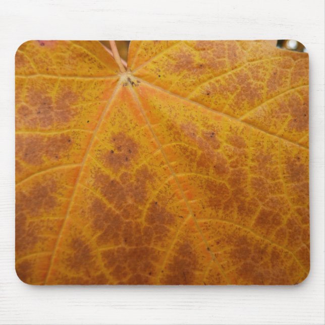 Yellow Maple Leaf Autumn Abstract Nature Mouse Mat (Front)