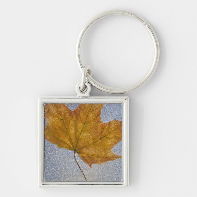 Yellow Maple Leaf Under Water Key Ring (Front)