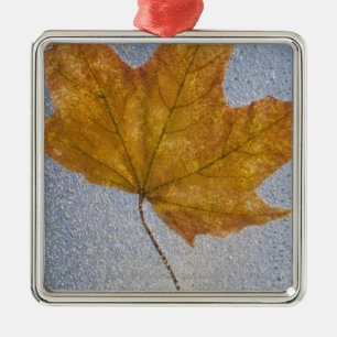 Yellow Maple Leaf Under Water Metal Tree Decoration