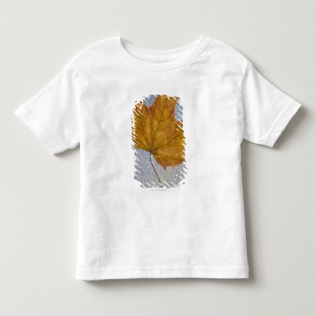 Yellow Maple Leaf Under Water Toddler T-Shirt (Front)