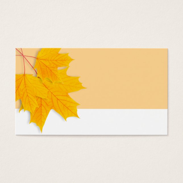 Yellow maple leaves (Front)