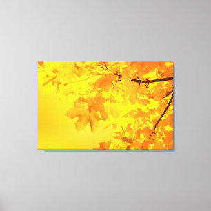 Yellow Maple Wrapped Canvas