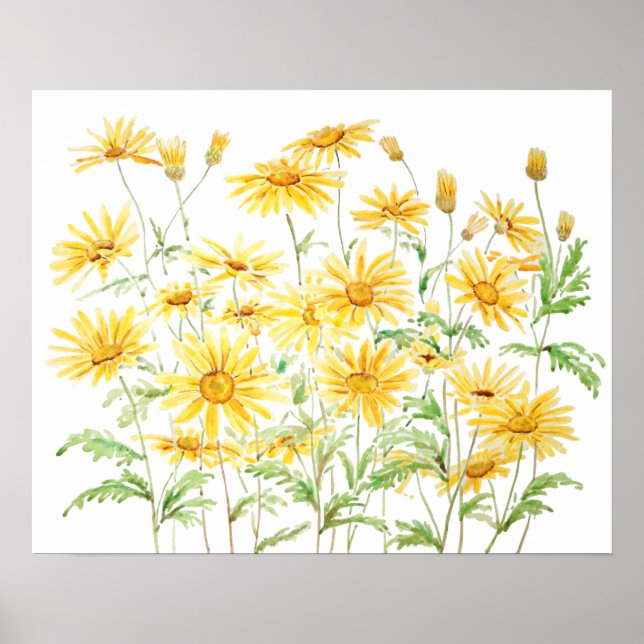 Yellow Margaret Daisies branch watercolor Poster (Front)
