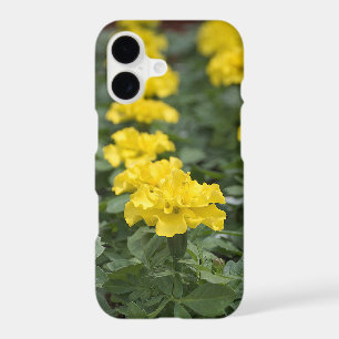 Yellow Marigold Flower Garden