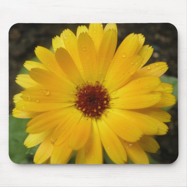 Yellow Marigold Macro Mousepad (Front)