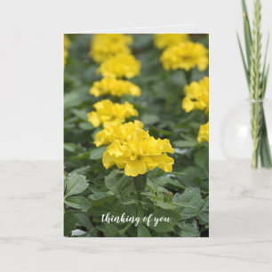 yellow marigold-thinking of you card