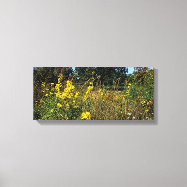 Yellow Meadow Flowers Photo  Canvas Print (Front)