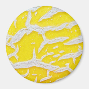 Yellow melon pattern  magnet