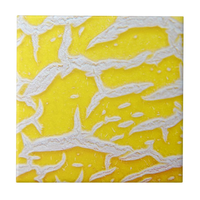 Yellow melon pattern tile (Front)