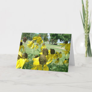 Yellow Mexican Hat Flowers Card