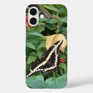 Yellow Monarch and Flowers in Florida iPhone 16 Plus Case