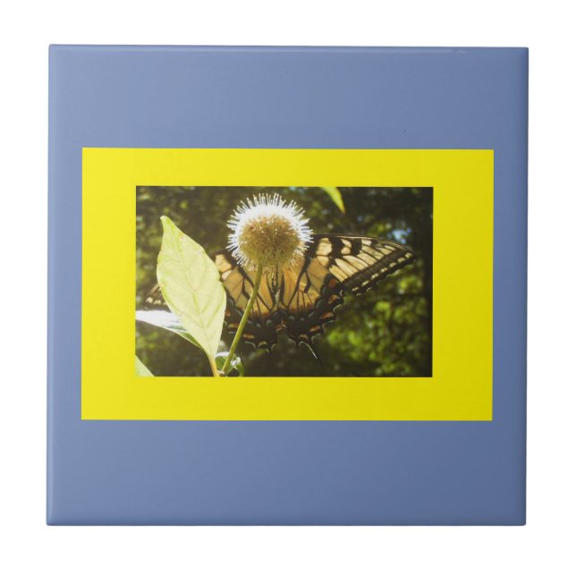 Yellow Monarch Blue Framed Ceramic Tile (Front)