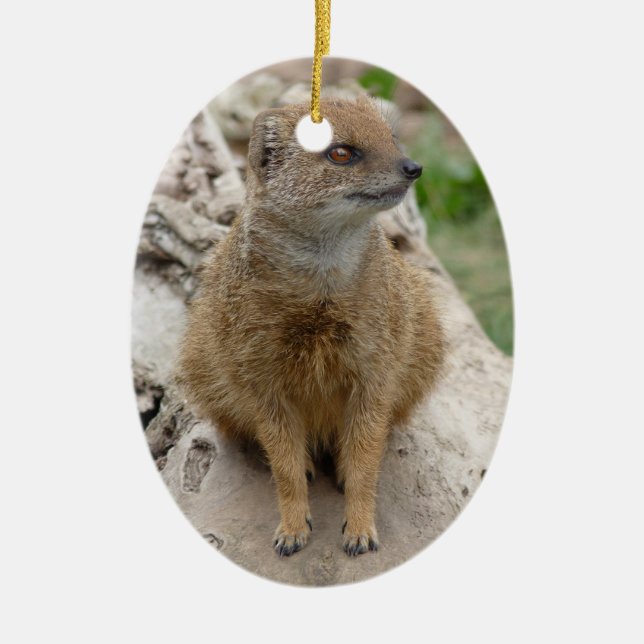 yellow mongoose ceramic tree decoration (Front)