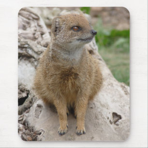 Yellow mongoose mouse mat