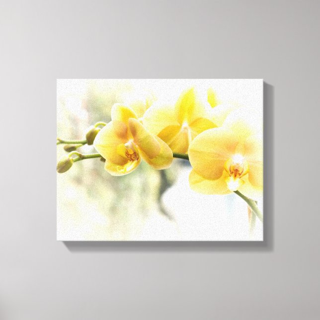 Yellow Moth Orchid in Sunshine Canvas Print (Front)