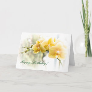 Yellow Moth Orchid in Sunshine Card
