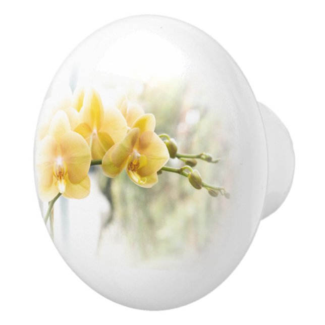 Yellow Moth Orchid in Sunshine Ceramic Knob (Right)