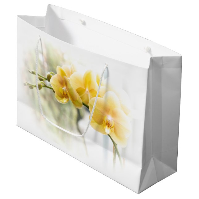 Yellow Moth Orchid in Sunshine Large Gift Bag (Front Angled)
