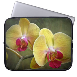 Yellow Moth Orchids - Phalaenopsis Laptop Sleeve