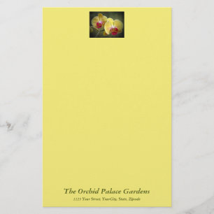 Yellow Moth Orchids - Phalaenopsis Stationery