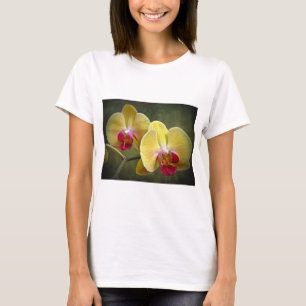 Yellow Moth Orchids - Phalaenopsis T-Shirt